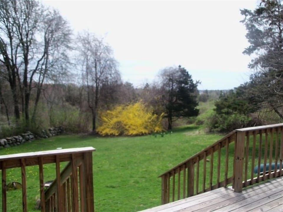 View from the deck