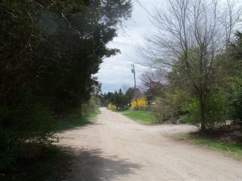 Walking on the lane to the river
