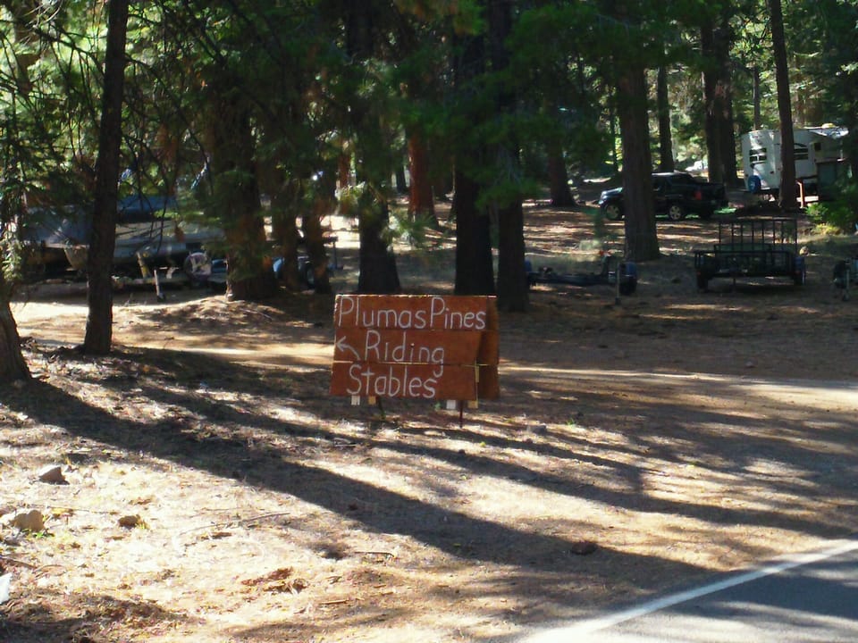 Trail rides 1 mile from cabin