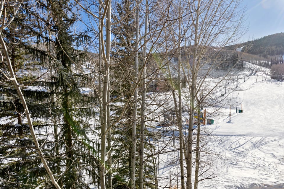 1703098649152-185-16