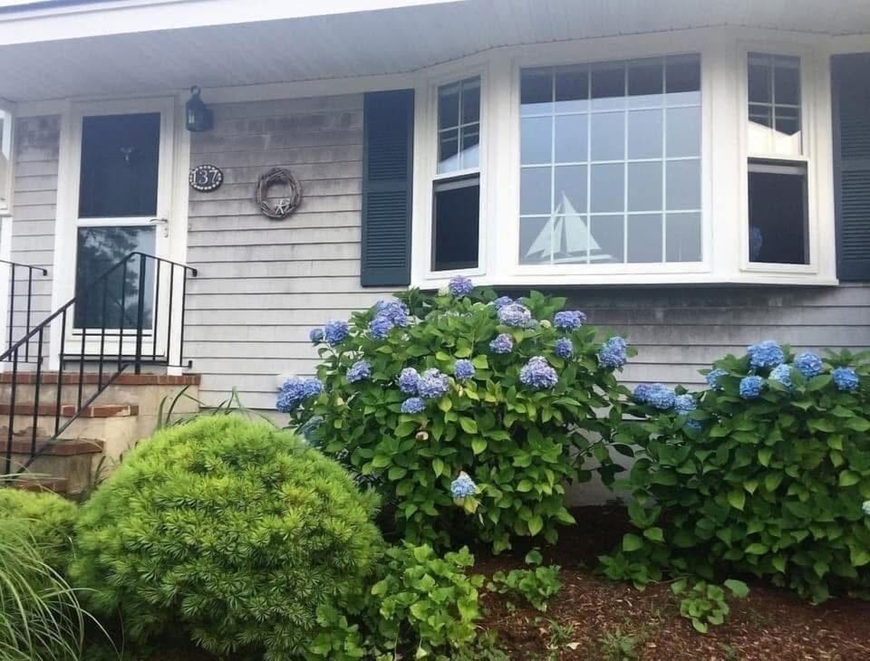 House Front