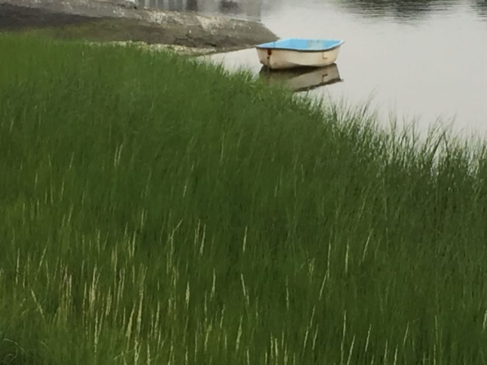 Mill Pond