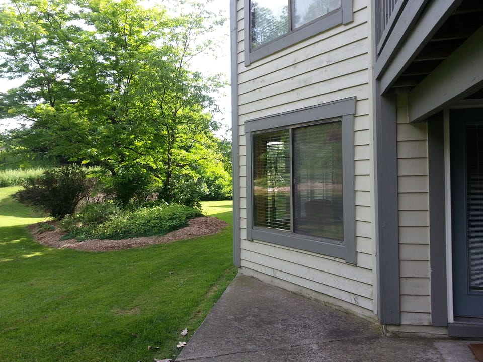 Patio at back door in summer