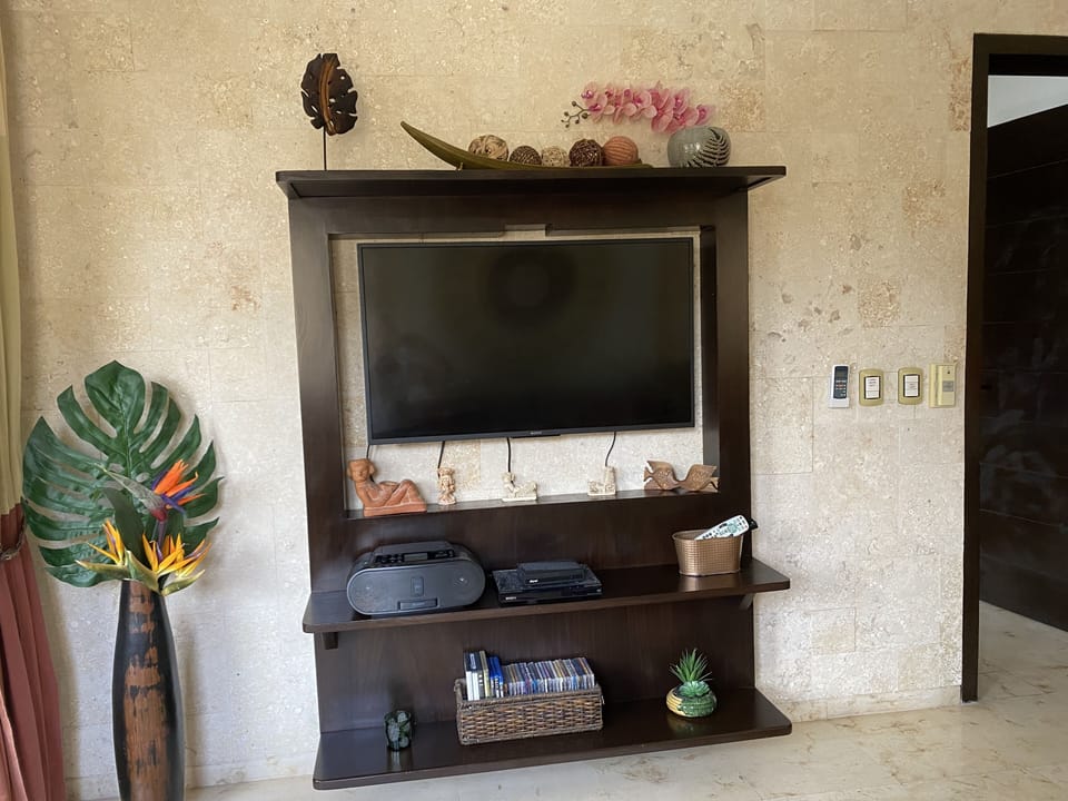 Living room Smart TV, and DVD