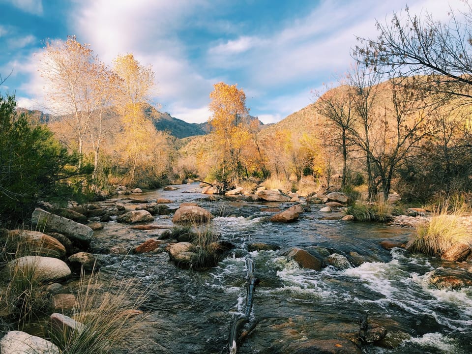 Sabino Canyon Recreation park is 1.5 miles from condo.