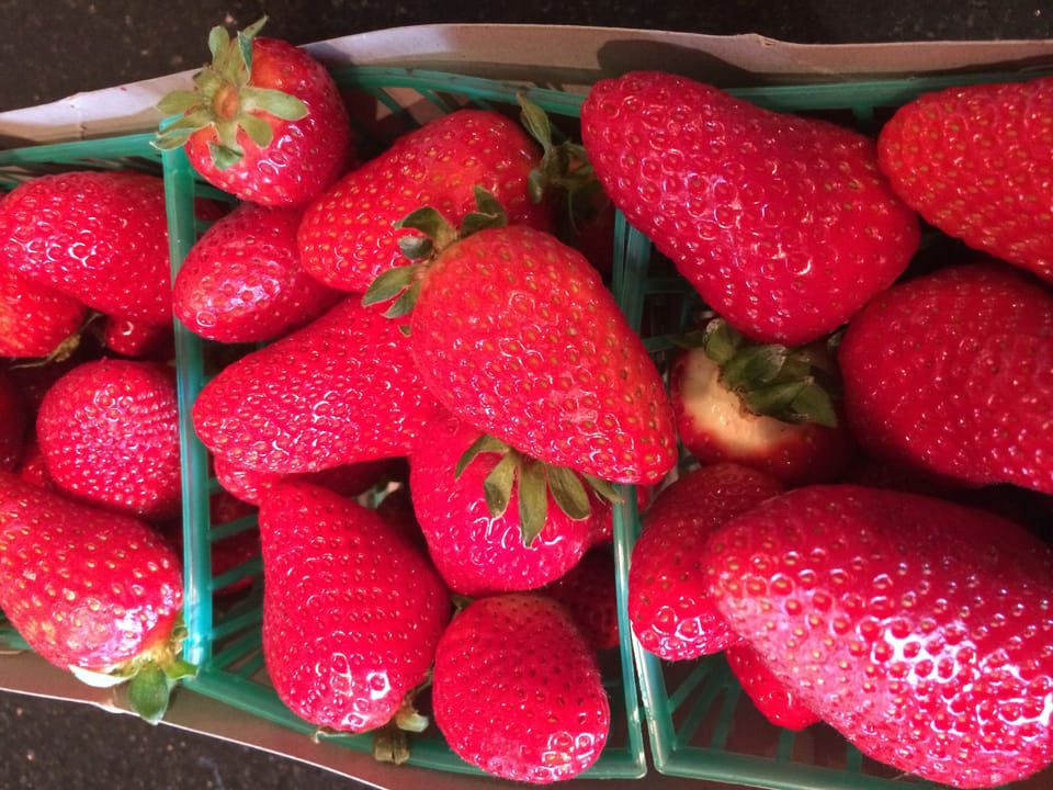 Straight from the Farmers' Market...every Saturday.  Easy walk from the cottage.