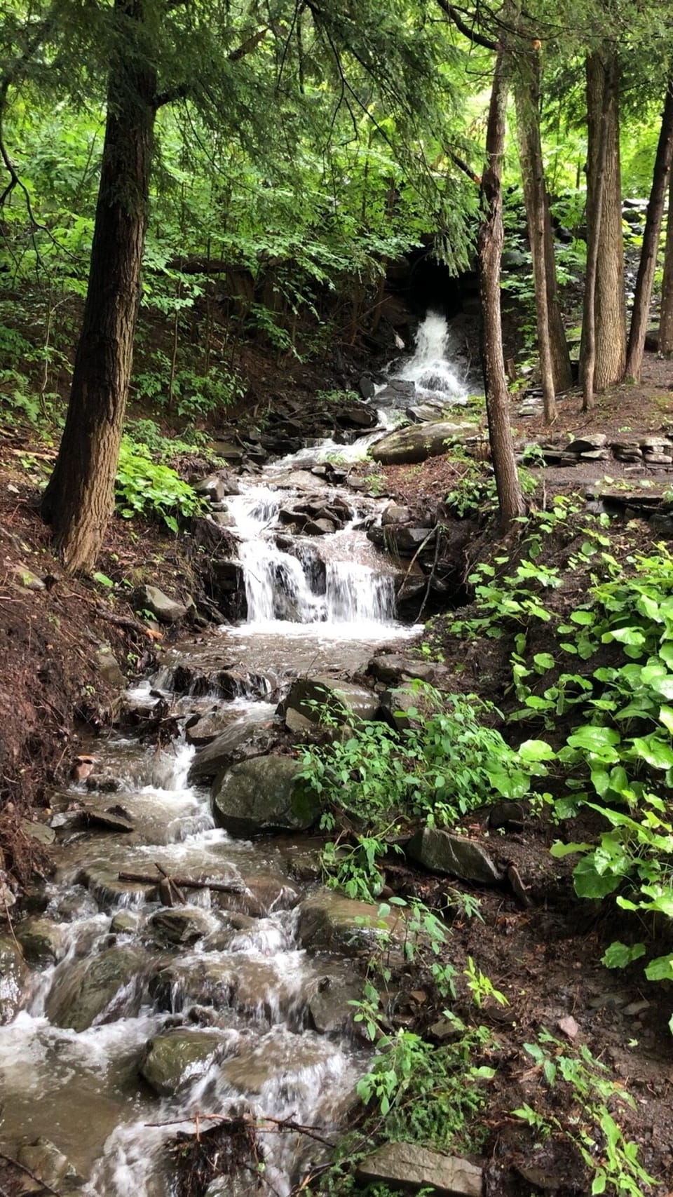 Waterfall on property