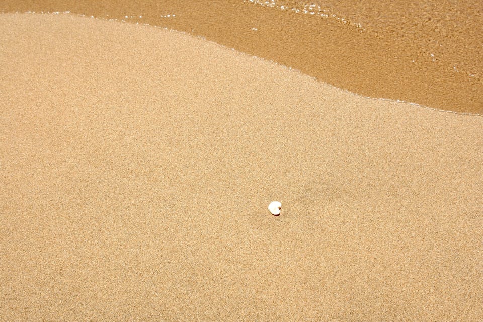 Sand treasures