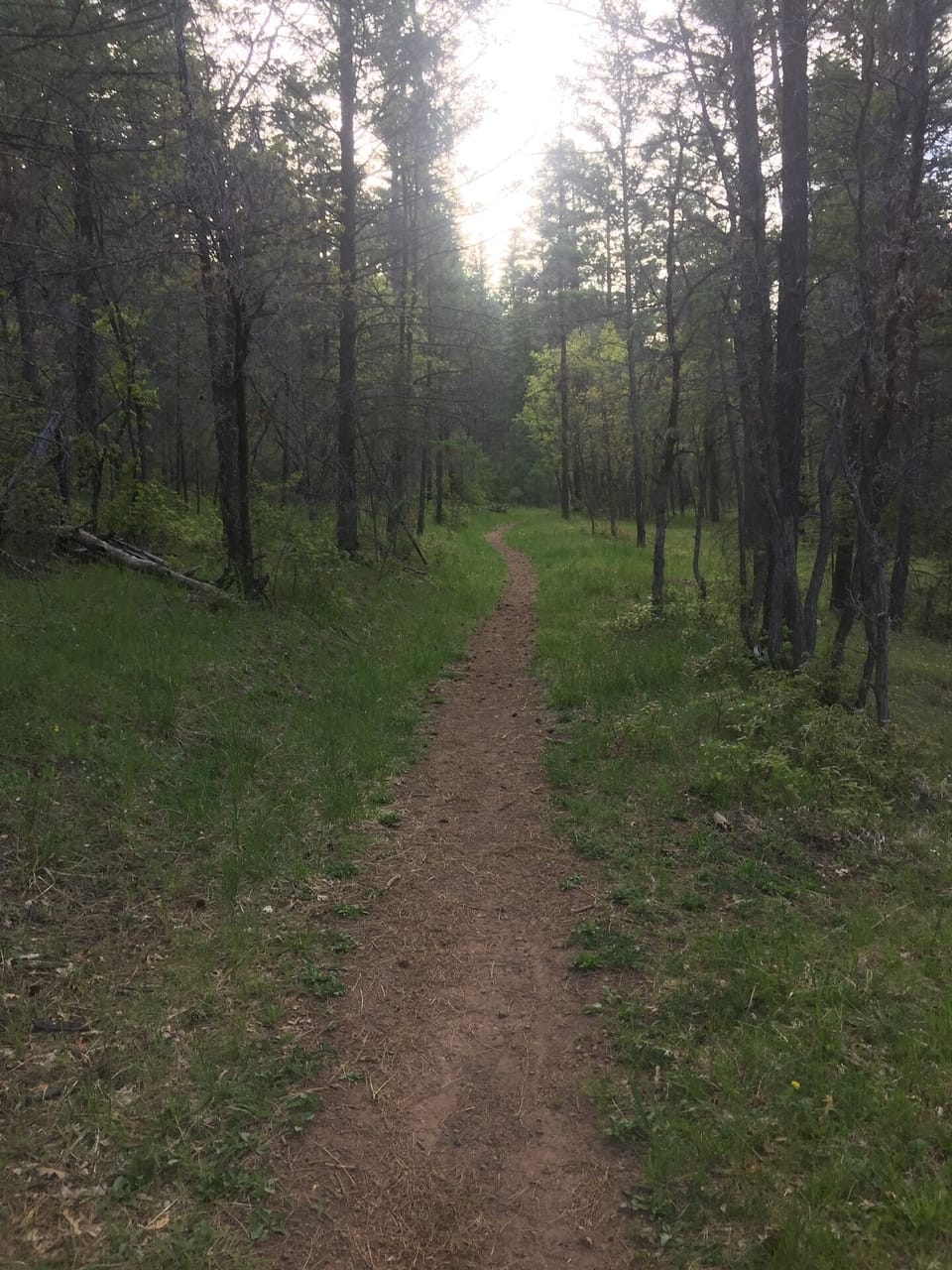 Hiking Perk Canyon below the cabin