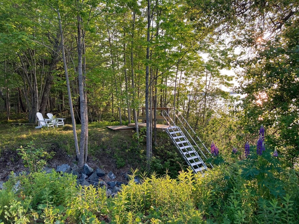 Steps to beach in early summer with Lupin (flowers) in foreground.