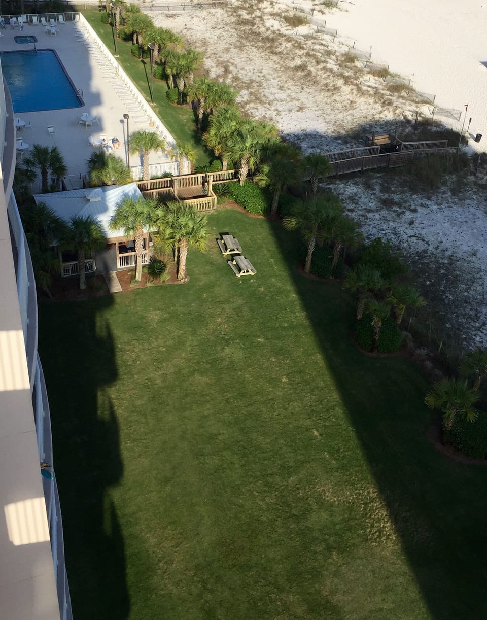 huge grassy area and covered picnic area with 4 gas grills