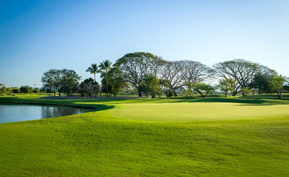Golf course
