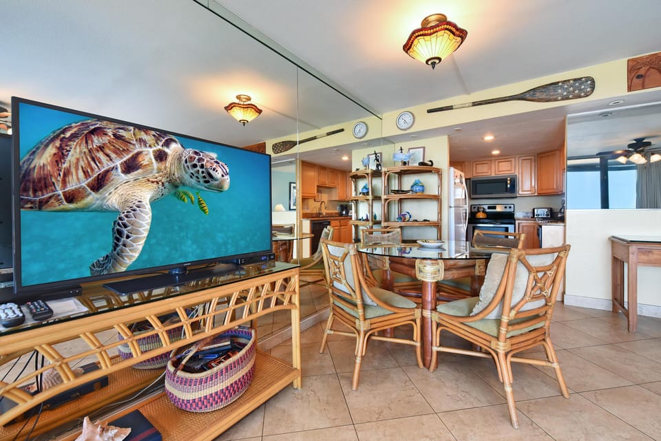 Large Flat Screen TV