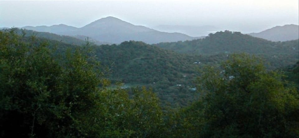 View from the living room! Far, far way you can see the coastal mountains.
