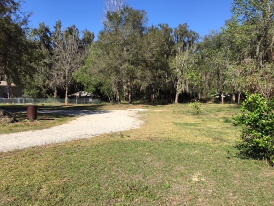 Another shot of the driveway leading towards the house. 