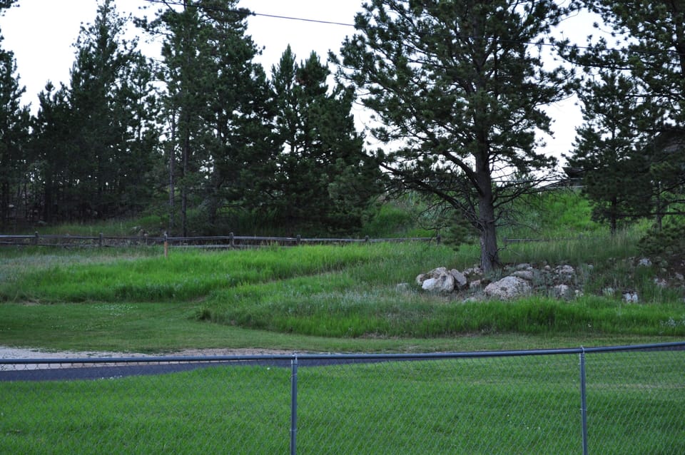 Mickelson Trail Access