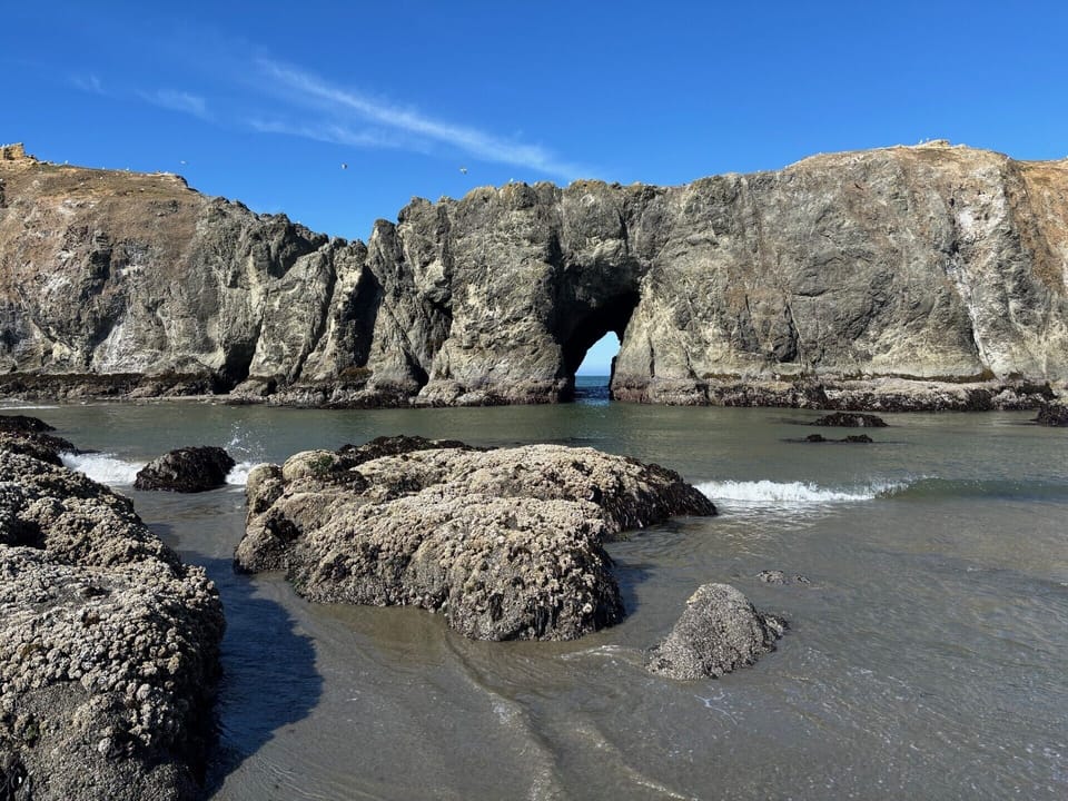 Close up of Elephant Rock