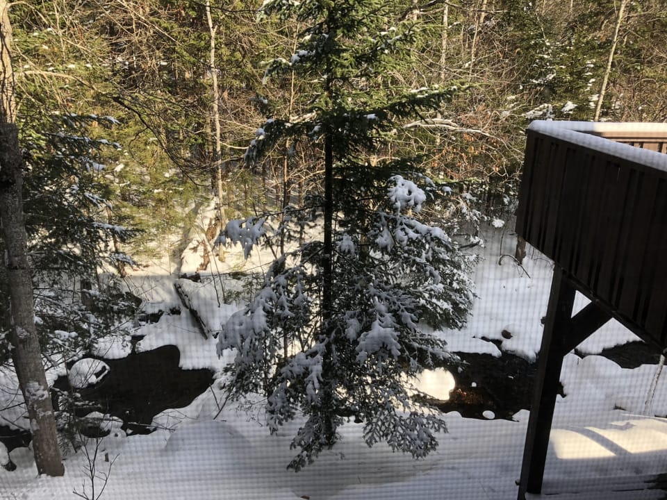 View from property