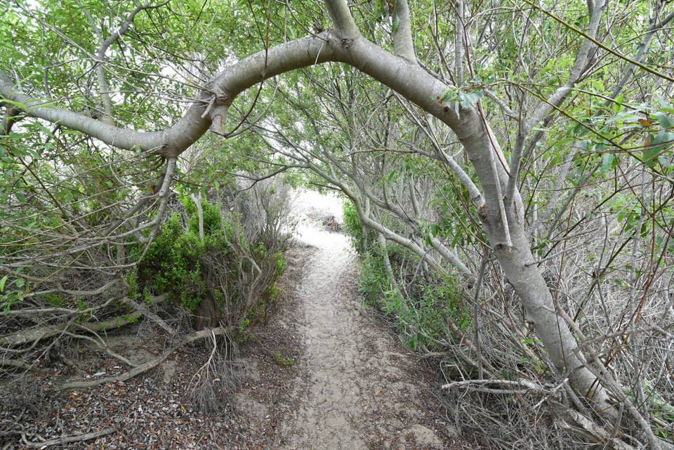 Path to the beach is across the street