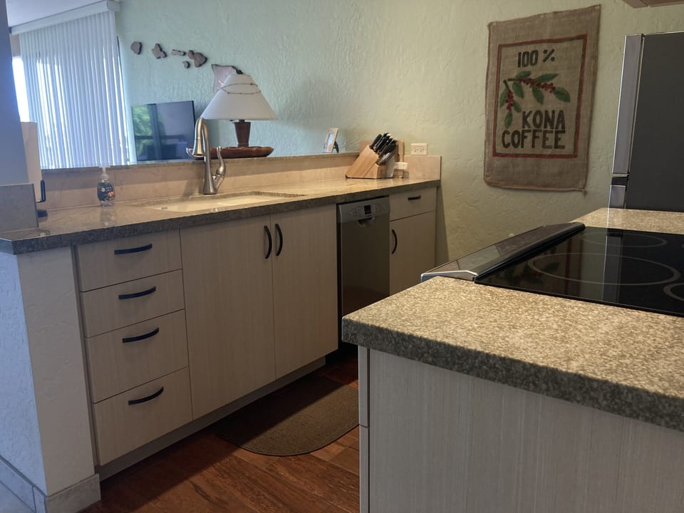 Kitchen with granite countertops, remodeled 2016.