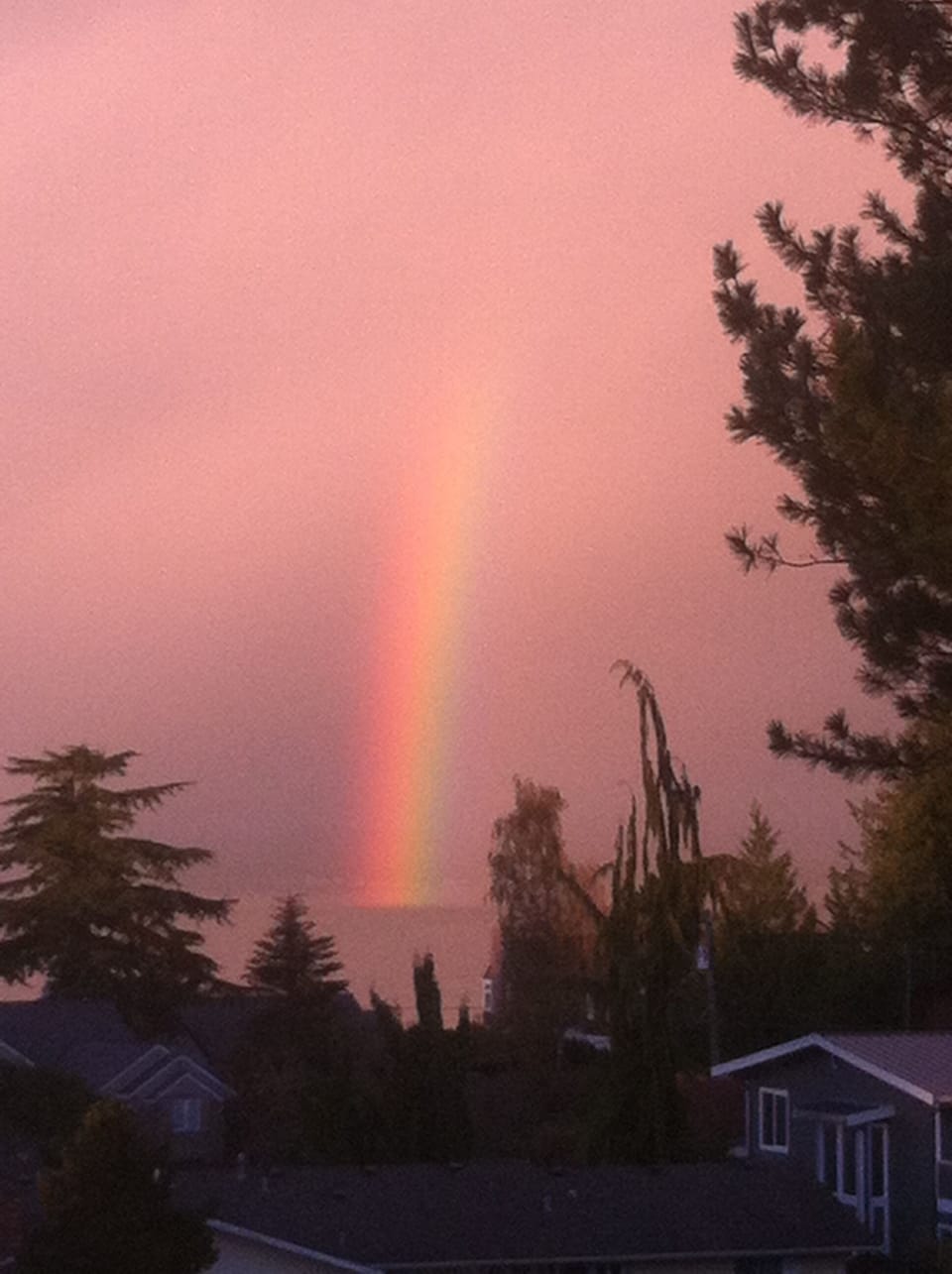 Spectacular rainbow!
