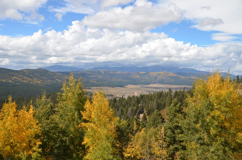 Aspens
