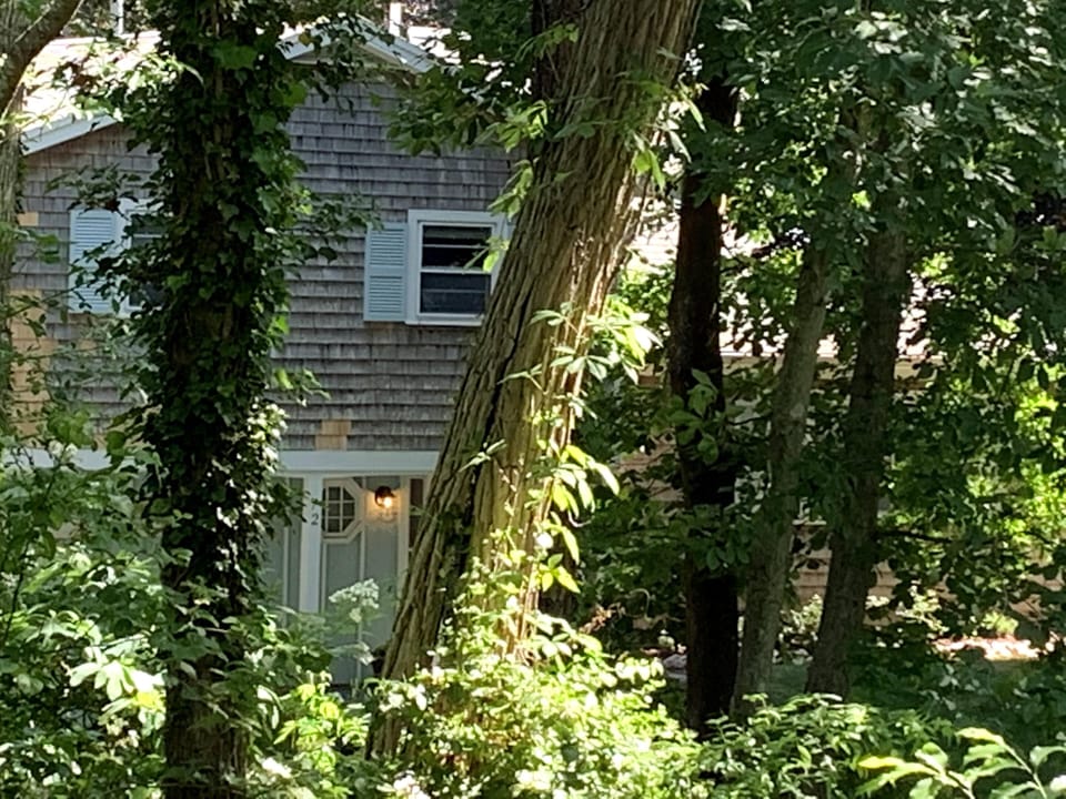 Surrounded by beech, birch and maple trees and gardens.  Bird watching as well.