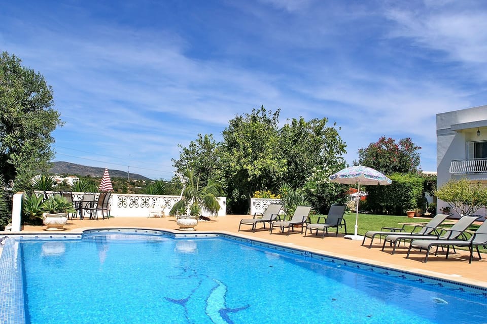 The Pool looking towards the mulberry tree that provides shade for readers.
