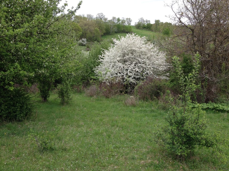 Rolling hills and meadows make for nice hiking.
