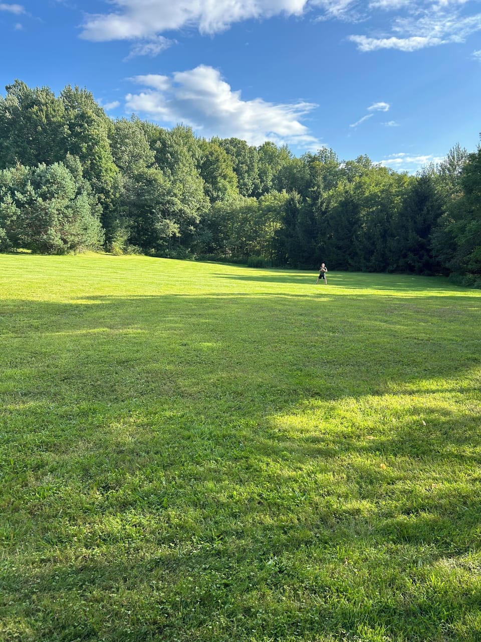 Large lawn below 