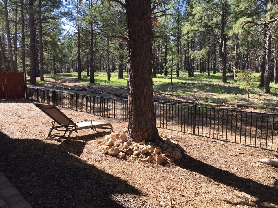 Side yard, w/full view of forest. 2 more loungers stored & available for use.