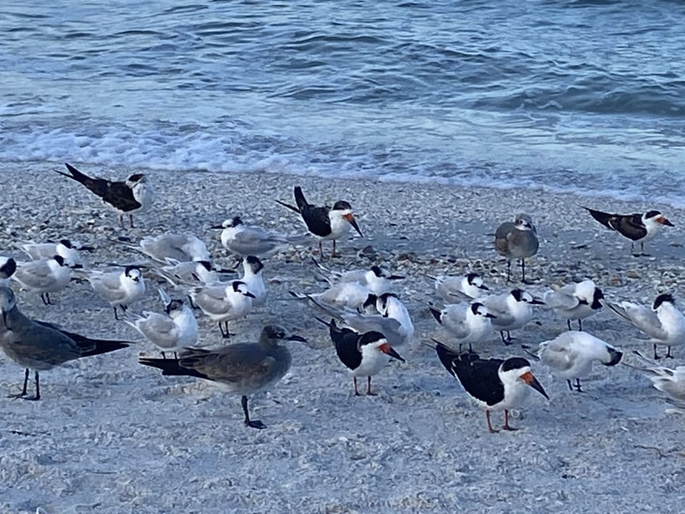 Beach