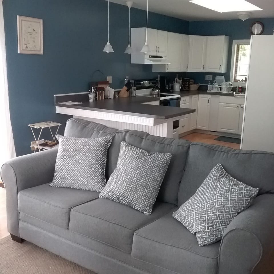 new living room  furniture 