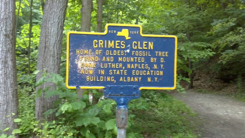 Just a few Miles south you can visit Grimes Glen