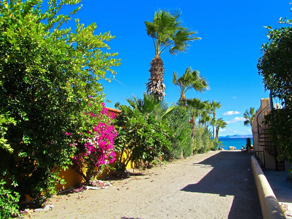 Walkway to Beach and Sea of Cortez Directly Off Your Front Steps