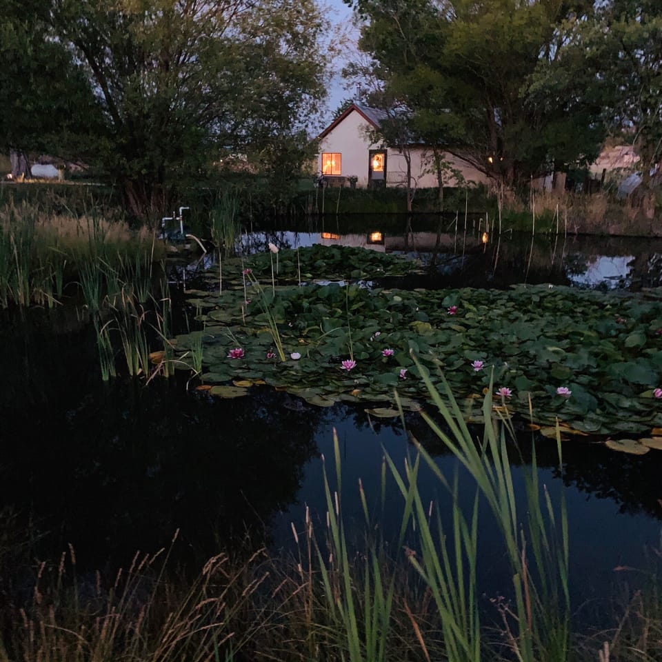 Front of the cottage from across the lily pond 