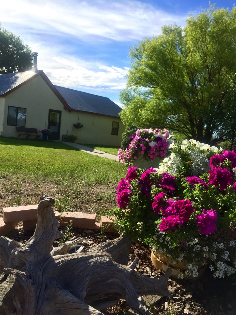 Front of Cottage , August 2016