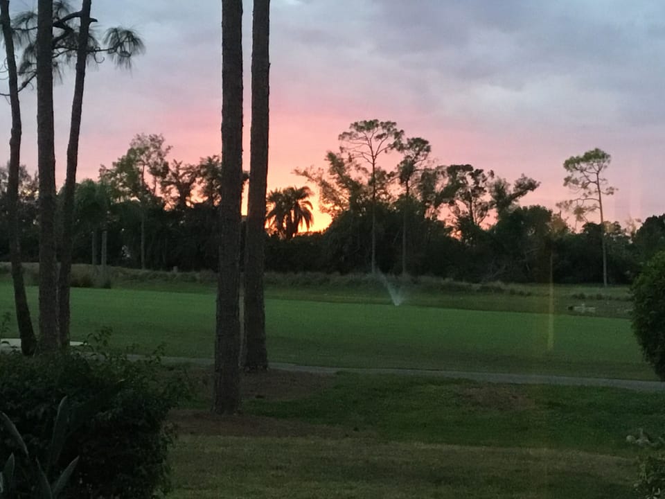 View from lanai. 
