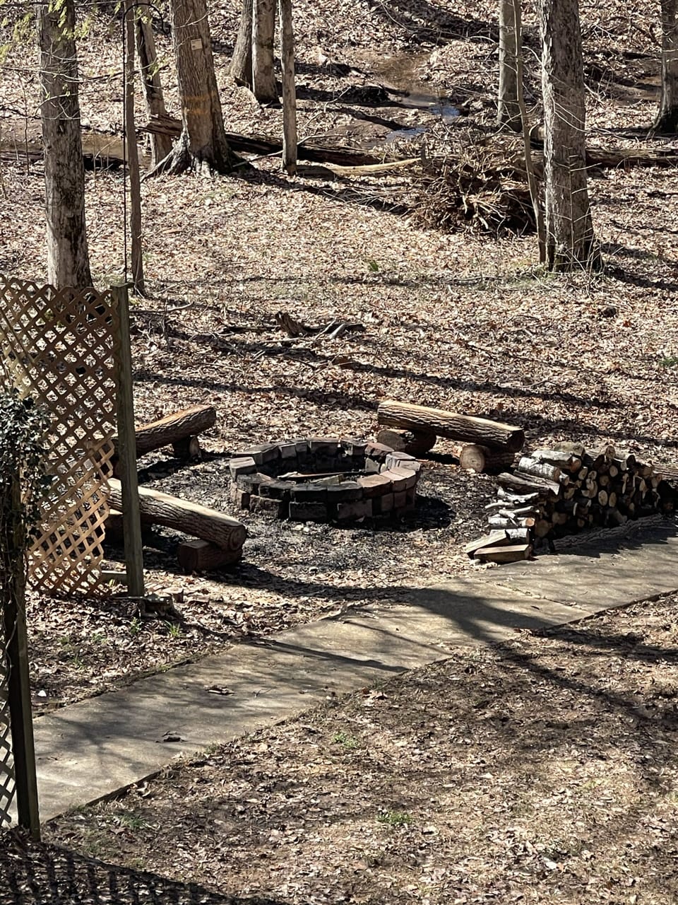 The fire pit with cool hand carved outside log benches