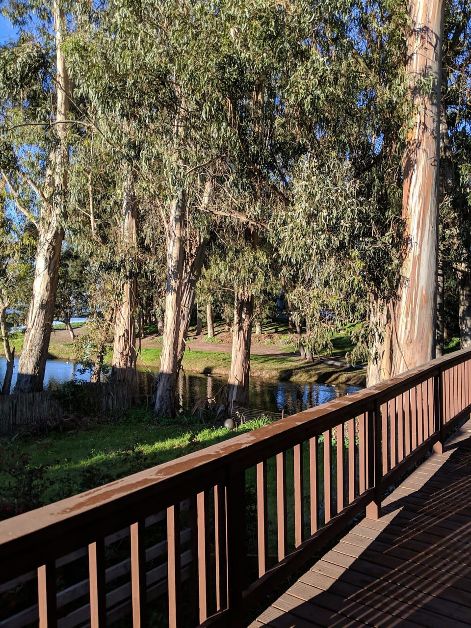Upper deck view down the lake towards ocean.
