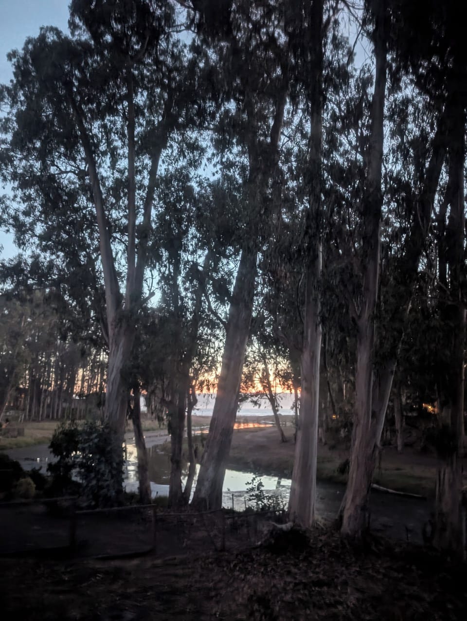 Fall sunset