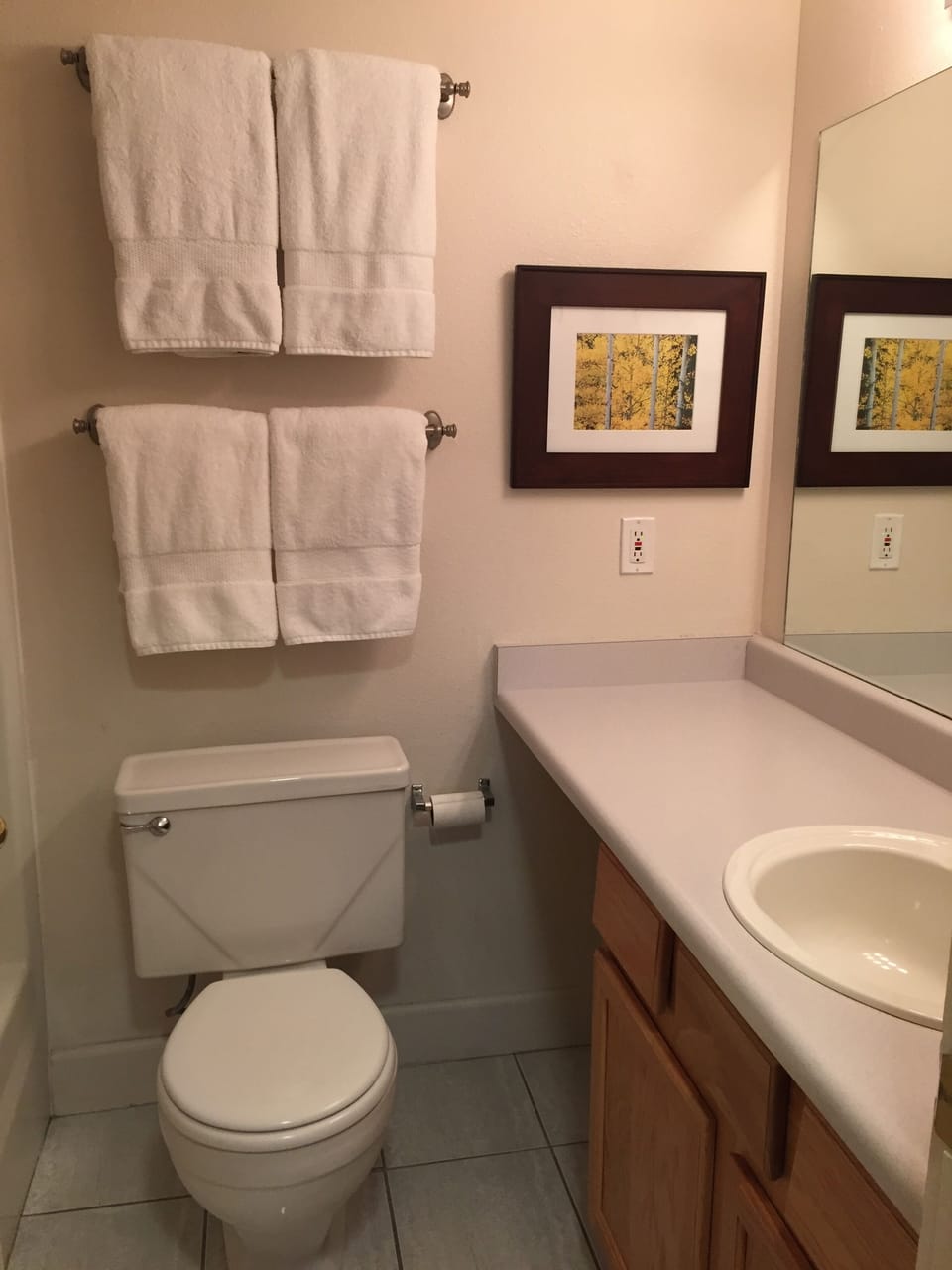 Full Master Bath with All of Its Original 1970s Charm (None)!