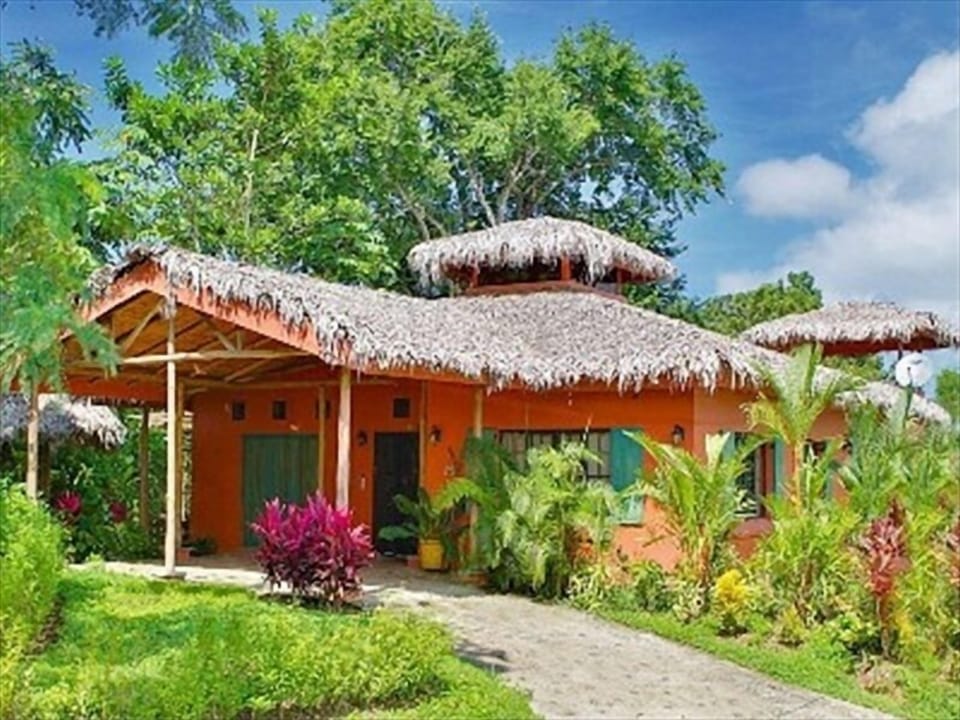 Lush vegetation, Palapa roof keeps house cool
