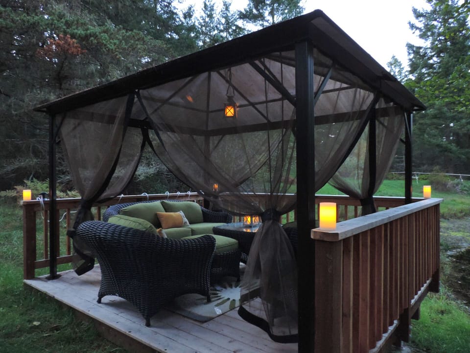 Watch the stars on the covered deck by the pond
