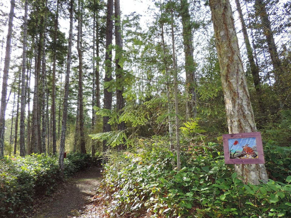 Walkabout nature trail through the woods circles the home site and pond.