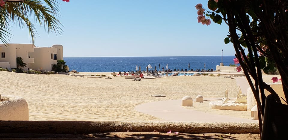 walk out o patio down walkway to pool and beach, hear the waves, watch the whale