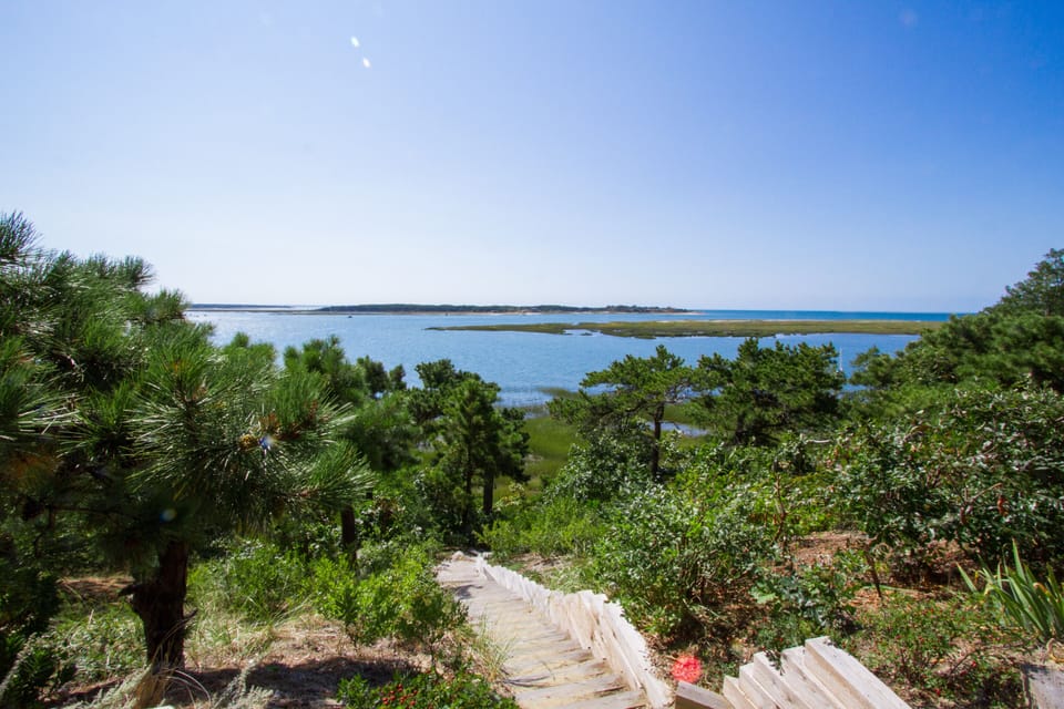 The view of the bay