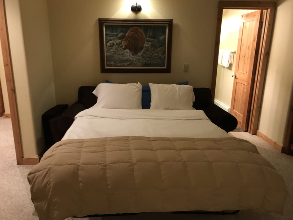 Queen Sofa Sleeper in Loft with pillow top