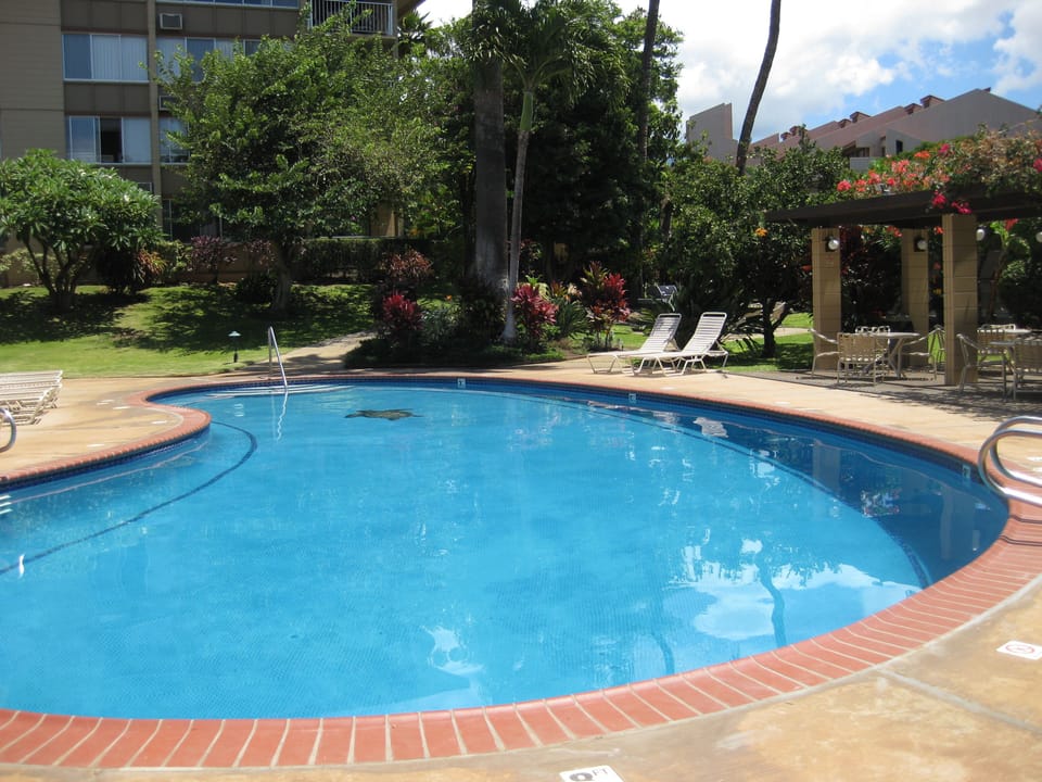 Easy access to updated pool and garden area. Our unit has a view of the pool.