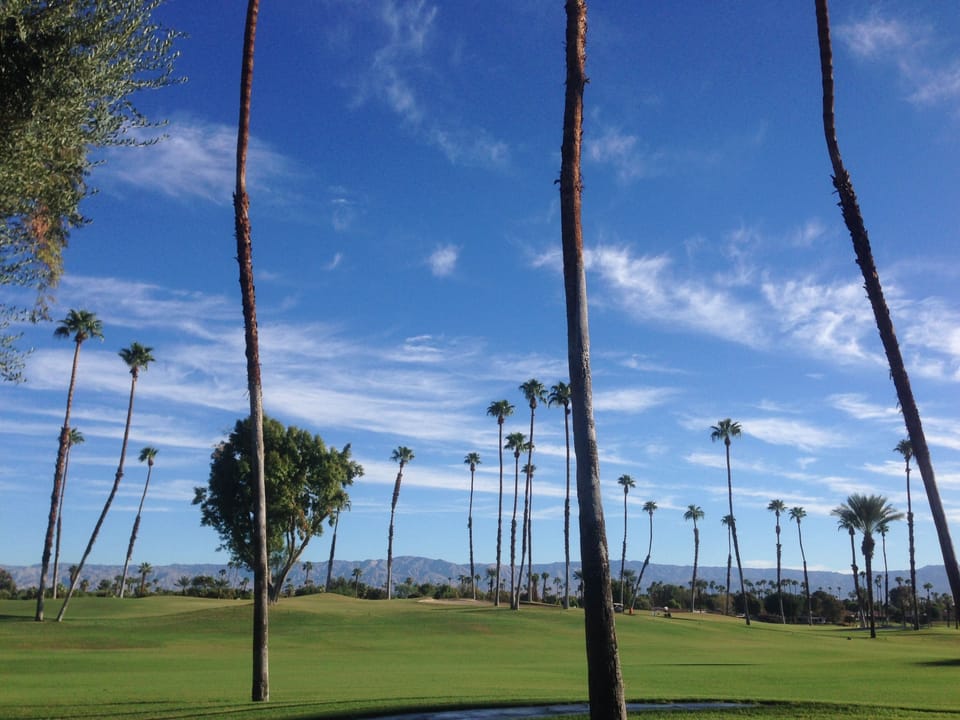 Golf Course 1S View from the Patio